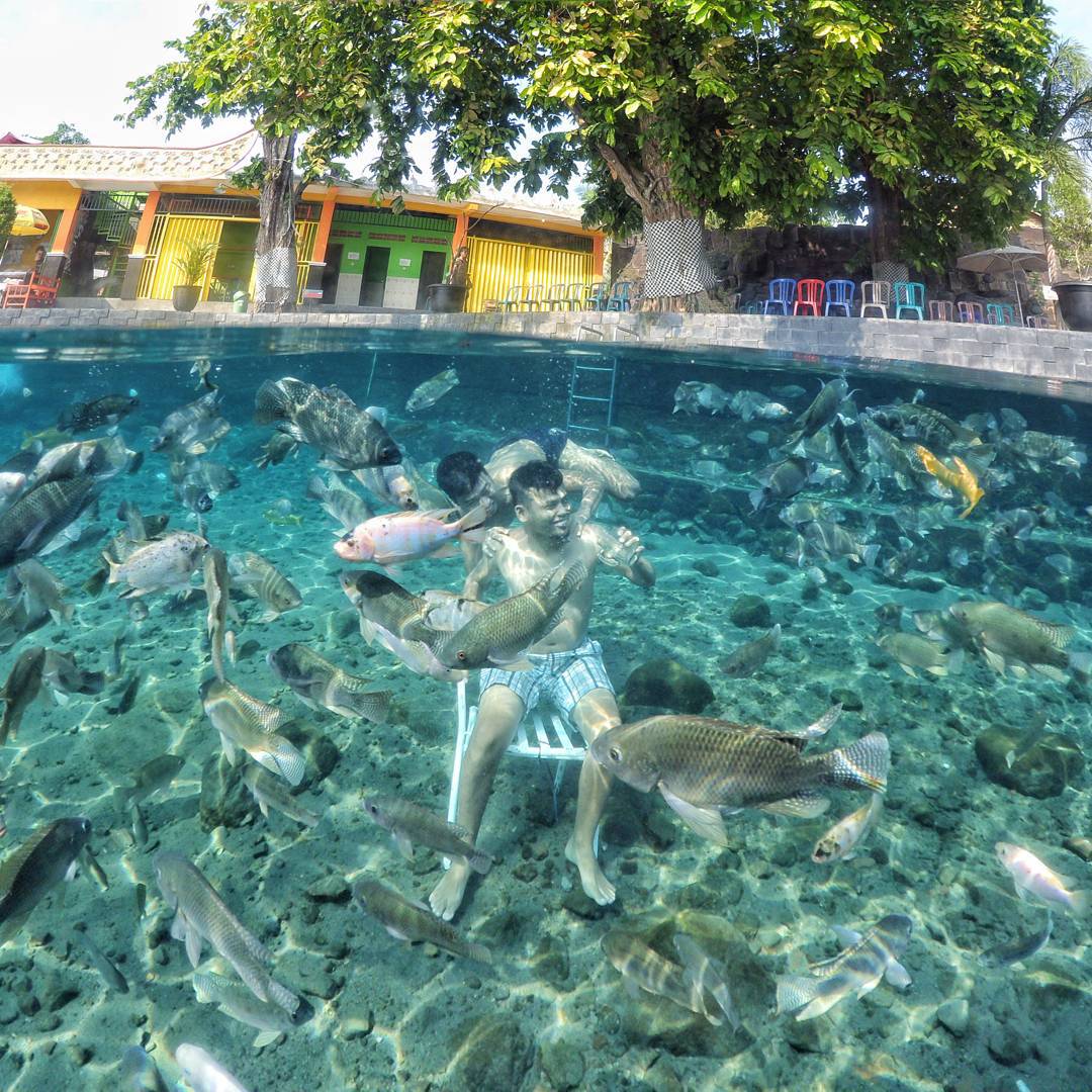 kolam renang ponggok klaten