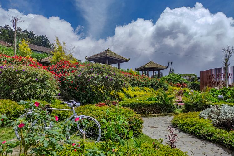 merapi garden boyolali