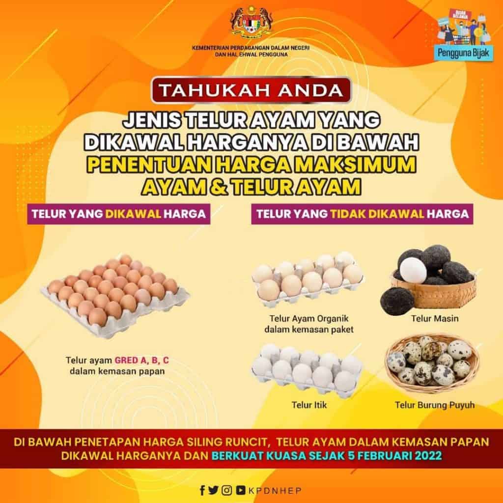 harga telur distro solo