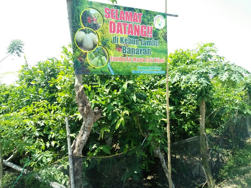 Agro Wijayakusuma