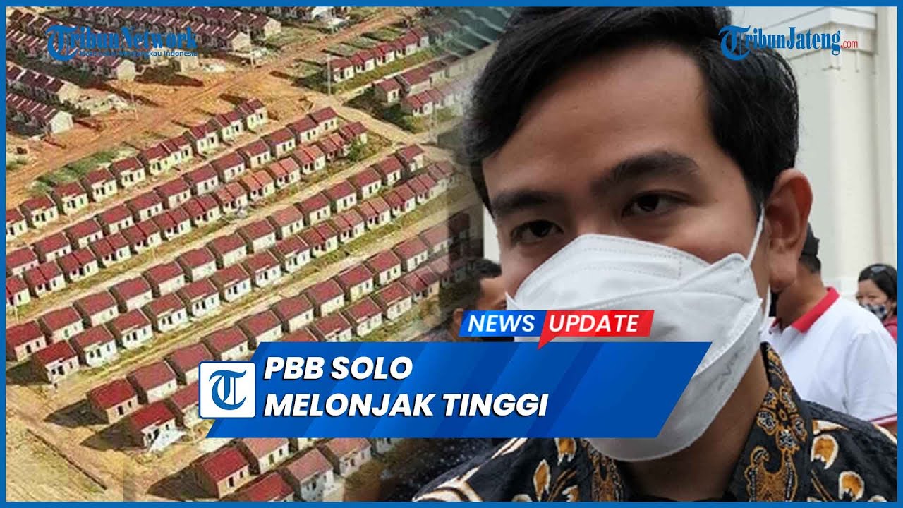pbb solo