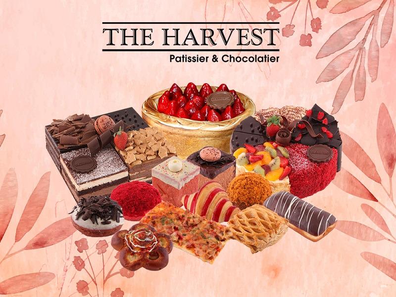 harvest cake solo