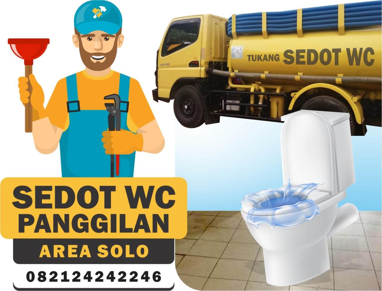 sedot wc solo