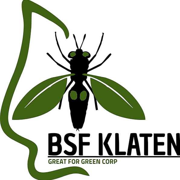 bsf klaten