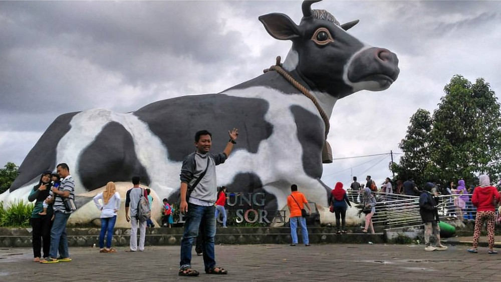lembu suro boyolali