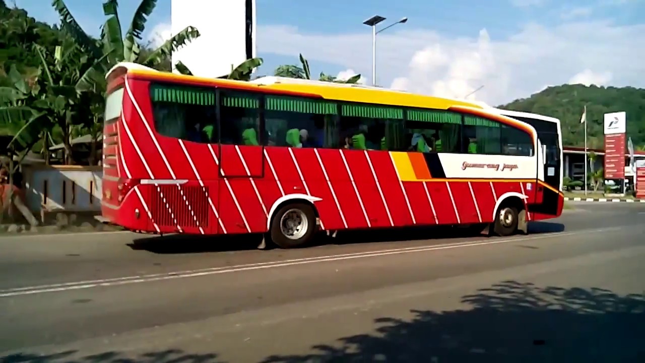 bus solo pati