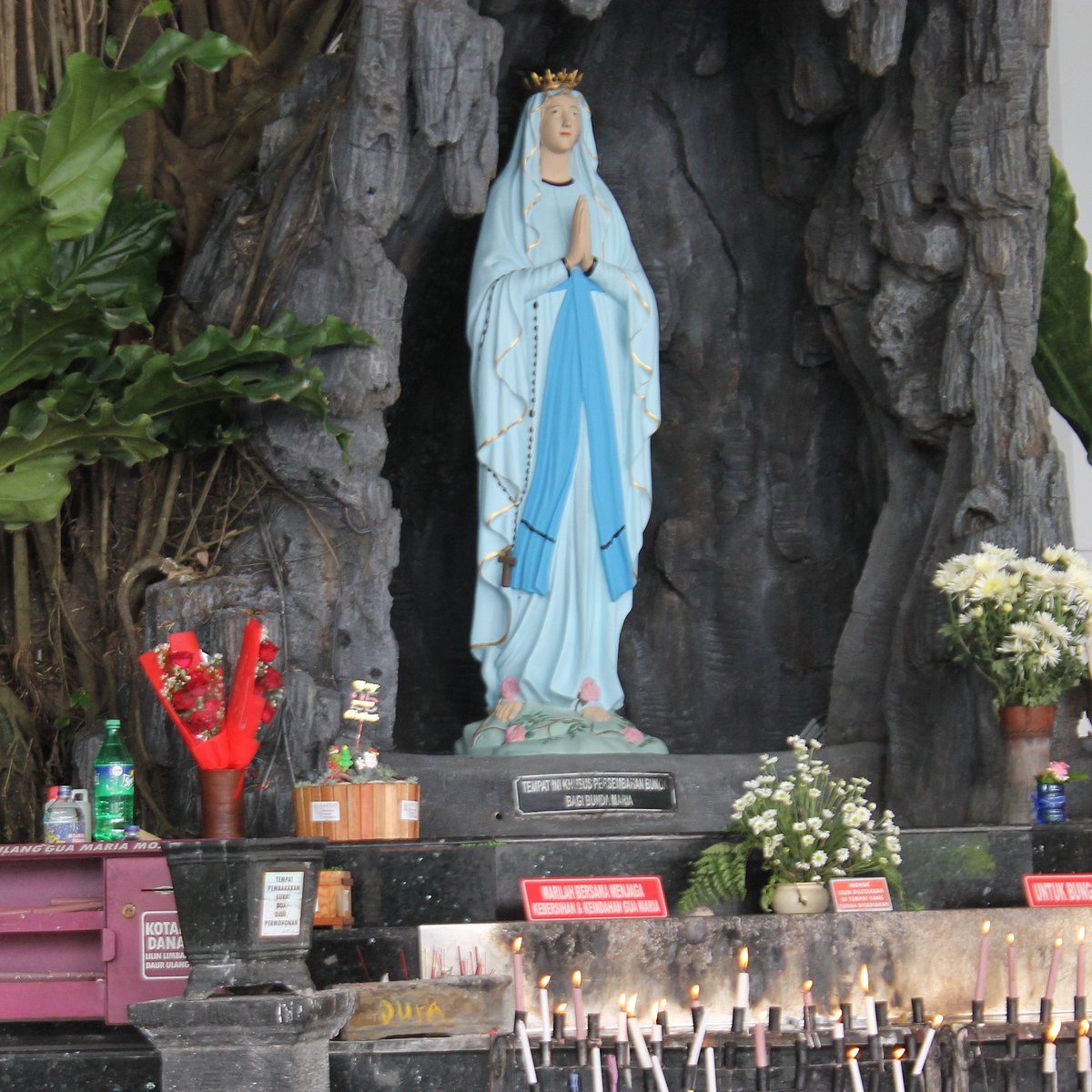 gua maria solo