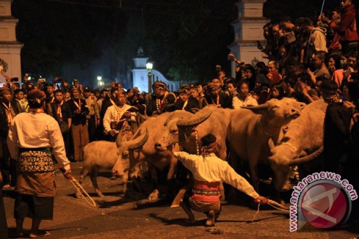 kirab pusaka keraton surakarta