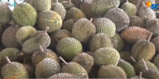 durian boyolali