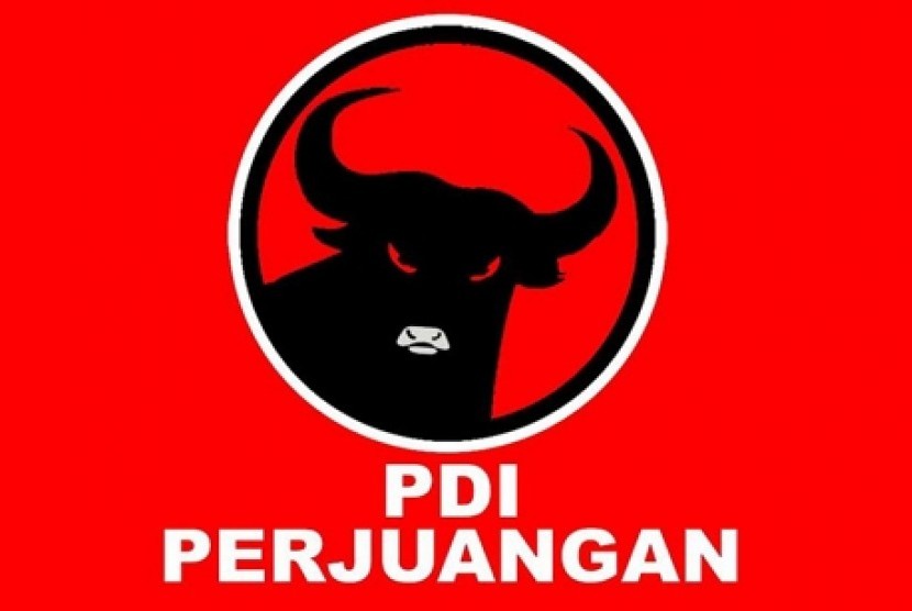 pdip solo