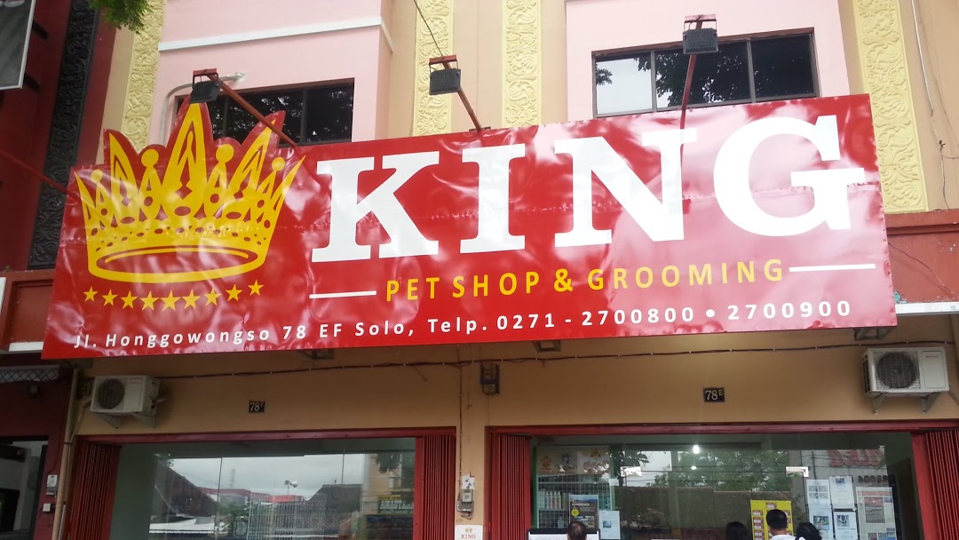 king pet shop solo